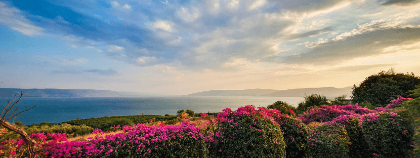 Sea of Galilee 
