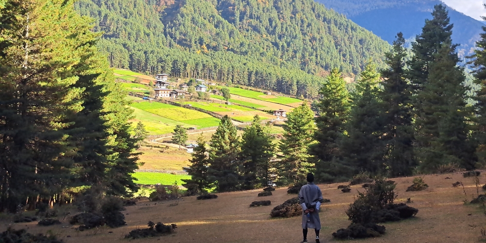 Gangtey Lodge Bhutan exterior surrounded by the scenic Phobjikha Valley, a luxury hotel in Bhutan.