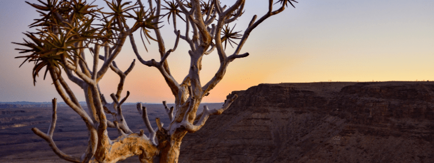 Fish River Canyon