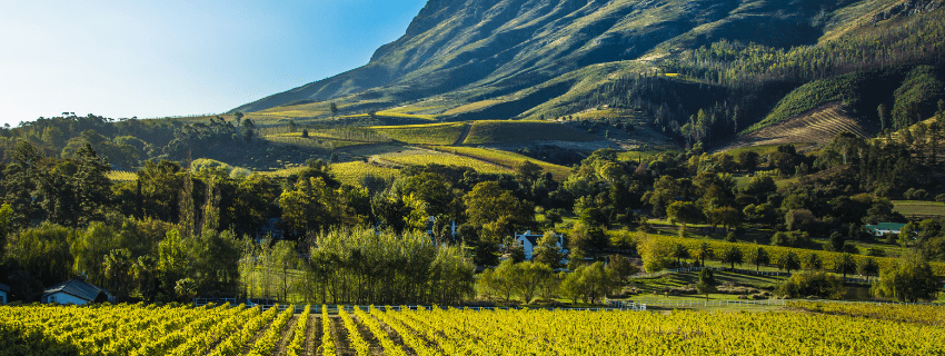 Stellenbosch