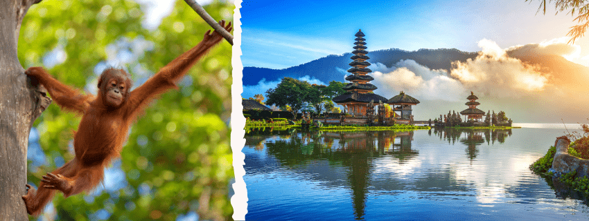 Borneo and Bali tours 