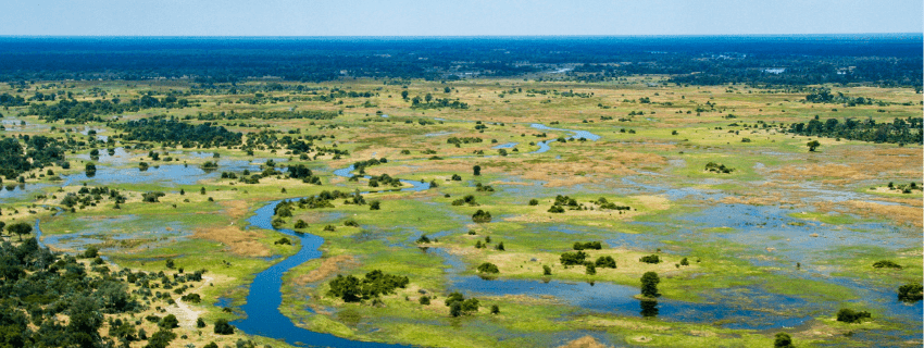 Okavango Delta