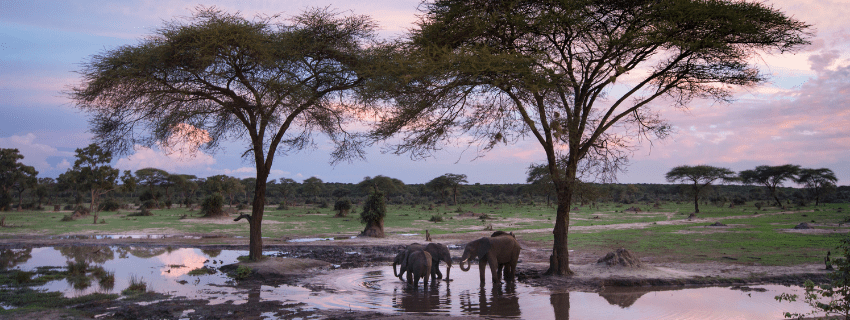Botswana luxury safari 