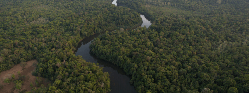 Botum Sakor National Park 
