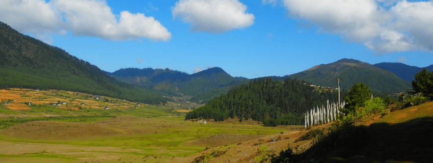 Gangtey Valley 