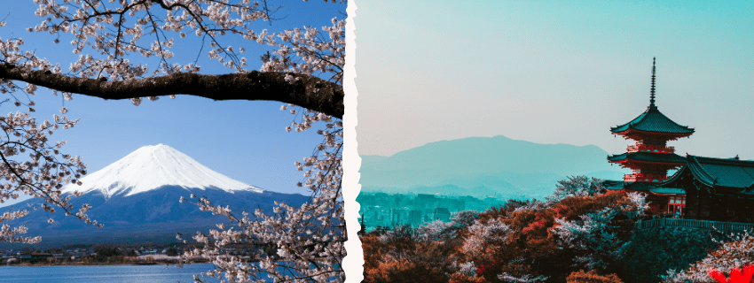 Japan country of cherry blossoms 
