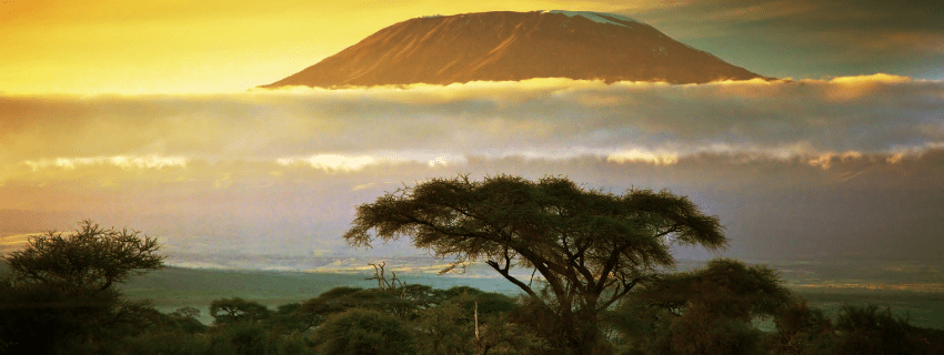 Kenya mount kilimanjaro view during safari 
