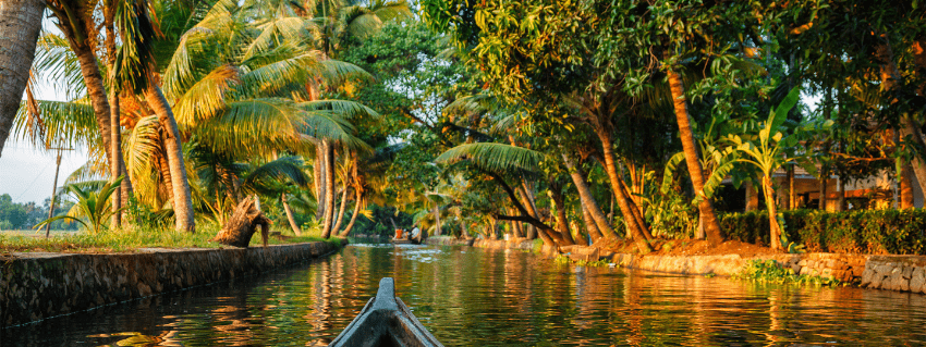 Backwaters of Kerala
