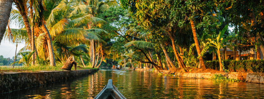 Backwaters of Kerala 