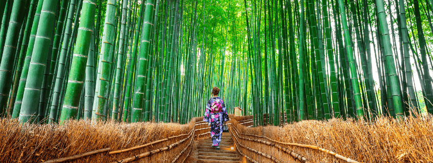 Kyoto bamboo forest