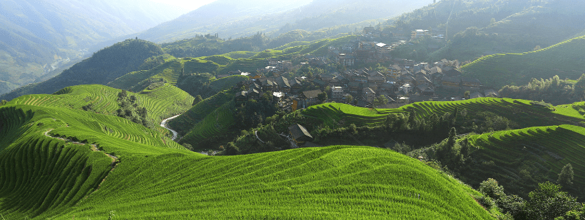 Longsheng rice terrace 