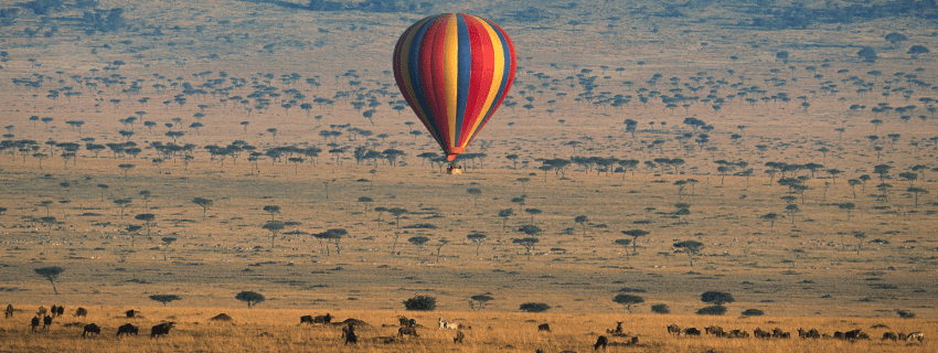 Masai Mara safari