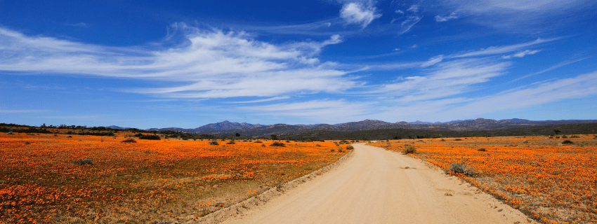 Namaqua National Park, South Africa 