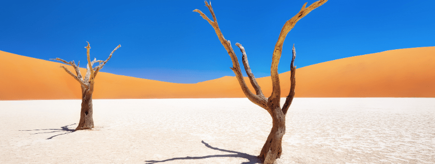 Namibia deadvlei 