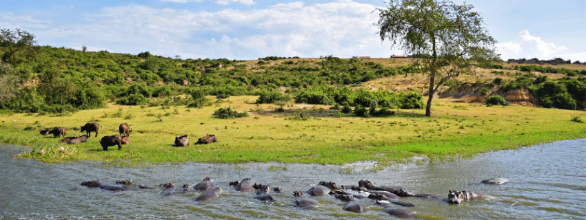 Queen Elizabeth National Park 