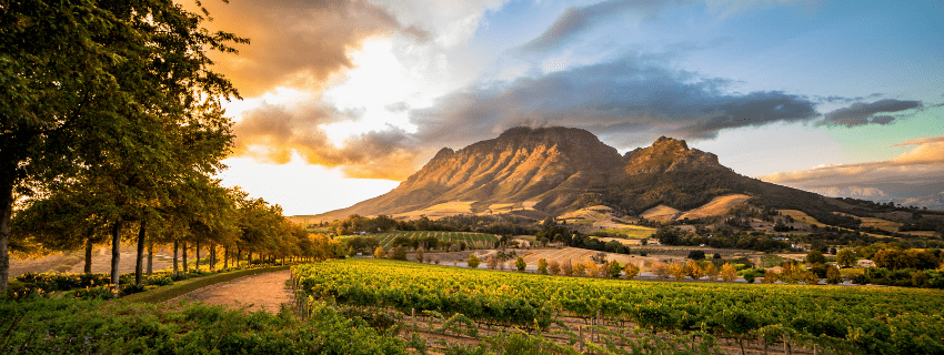 Stellenbosch 