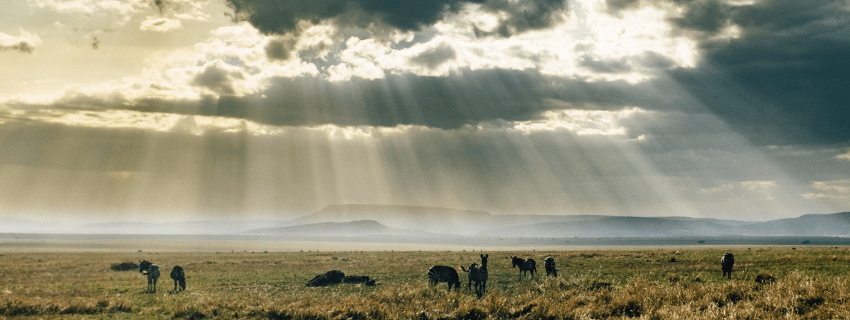 Tanzania, Serengeti National Park luxury safari 