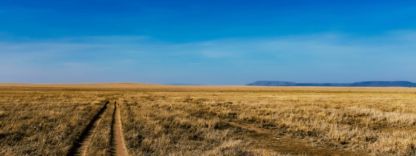 Serengeti, open plains 