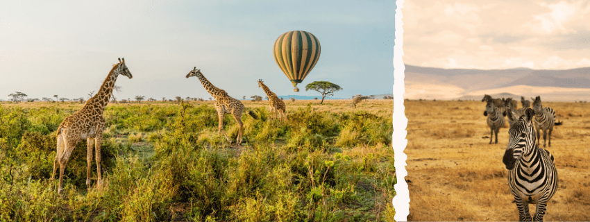 Tanzania unforgettable, balloon safari over the serengeti