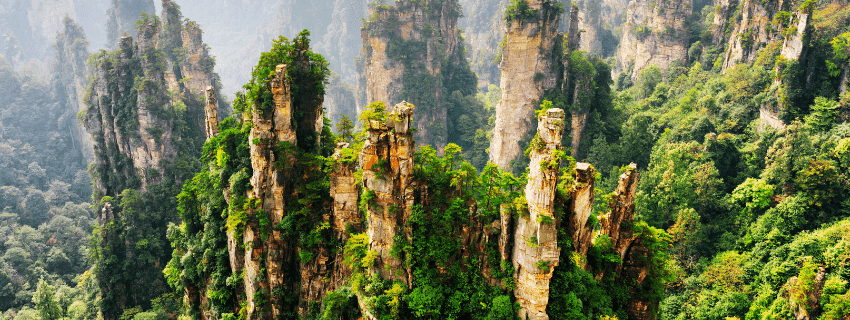 Tianzi Mountain 