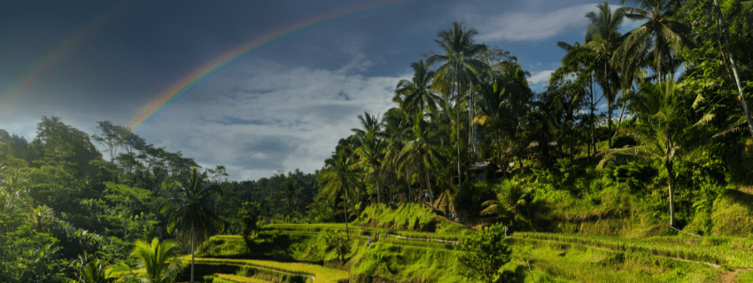 Ubud Indonesia