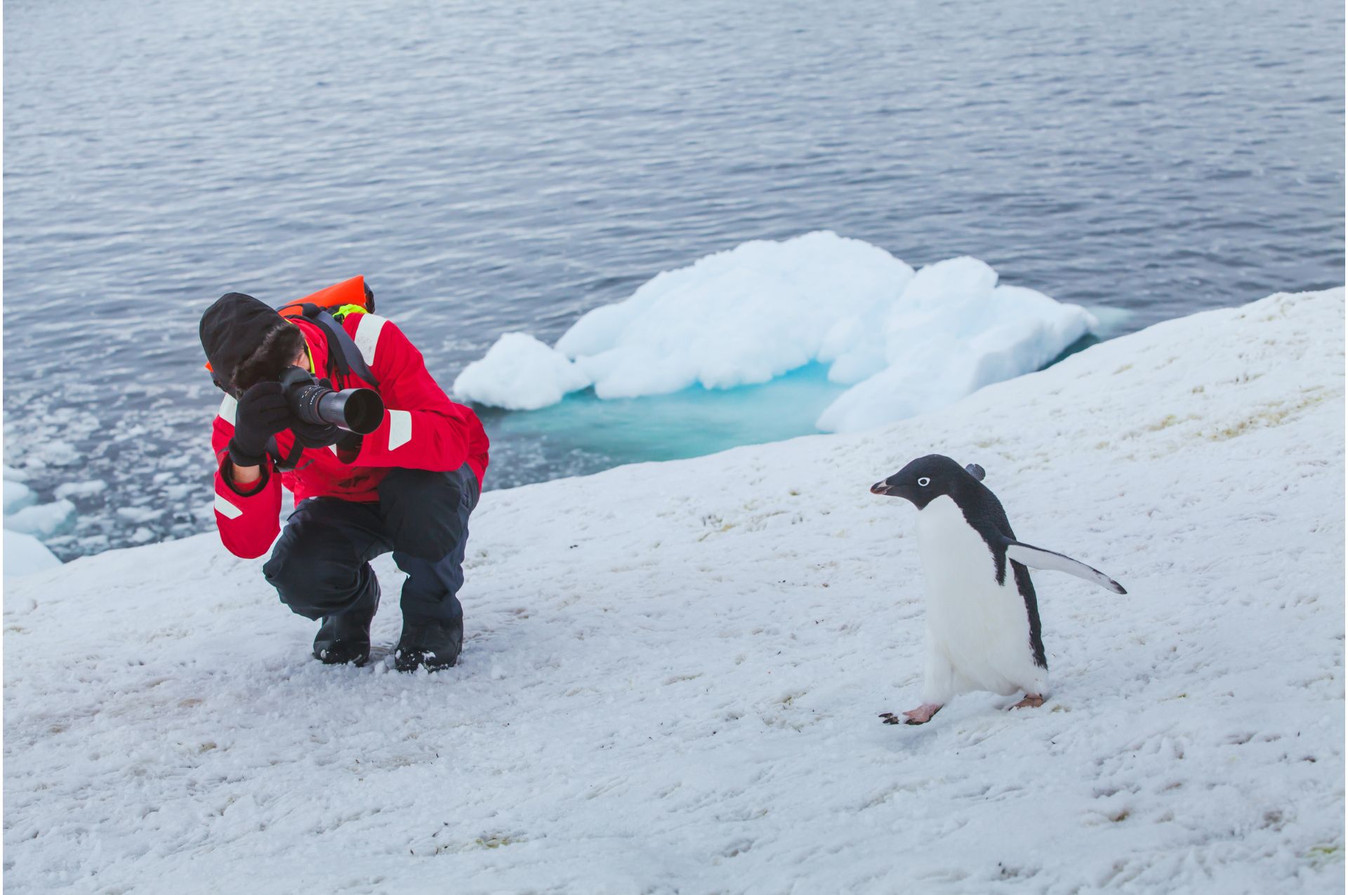 Antarctica cruise 