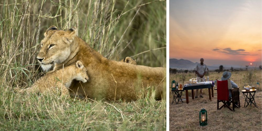 Nyikani Camp Serengeti Safari