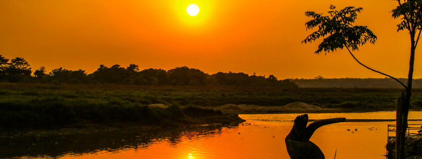 Chitwan