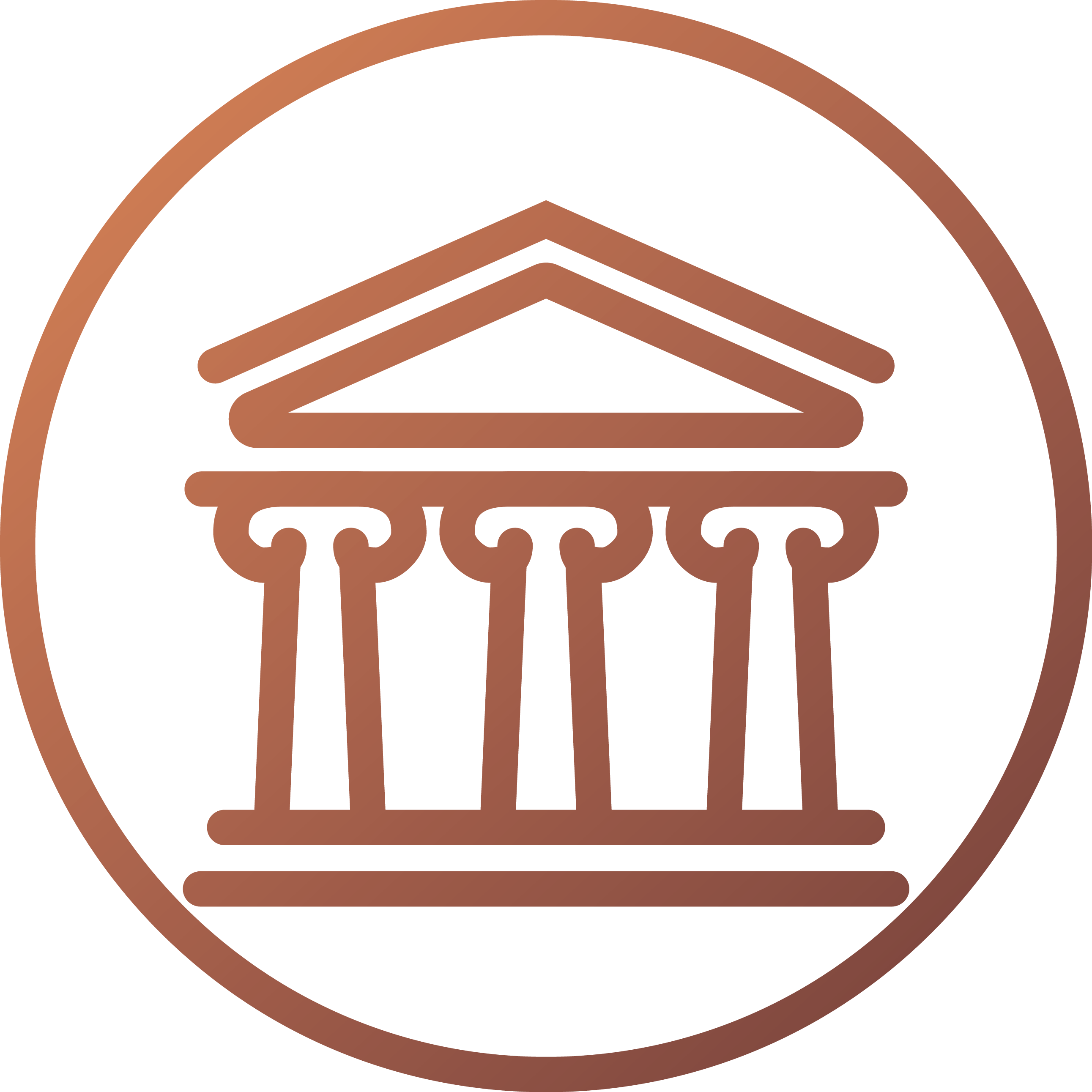 Private Guided Tours Your Travel Nation