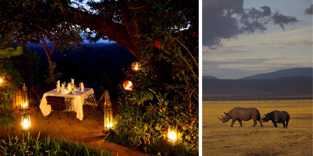 Ngorongoro Crater safari - Gibbs Farm