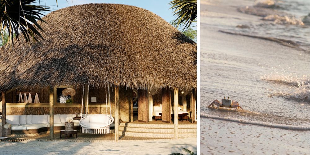 Mnemba Island luxury Zanzibar stay