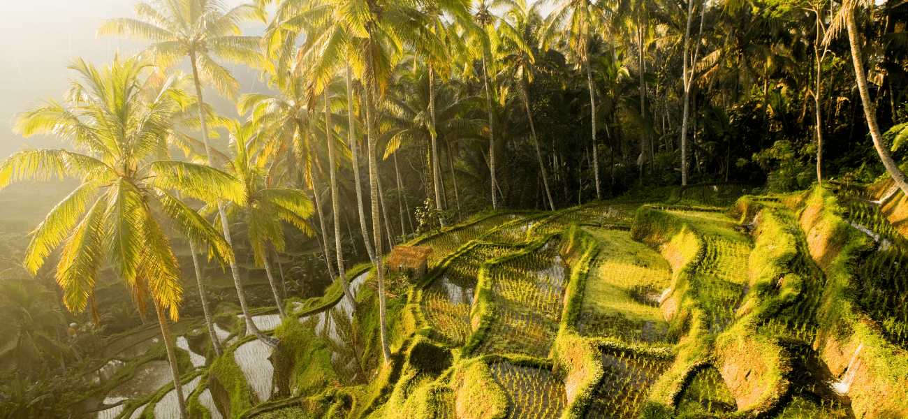 Ubud Indonesia 