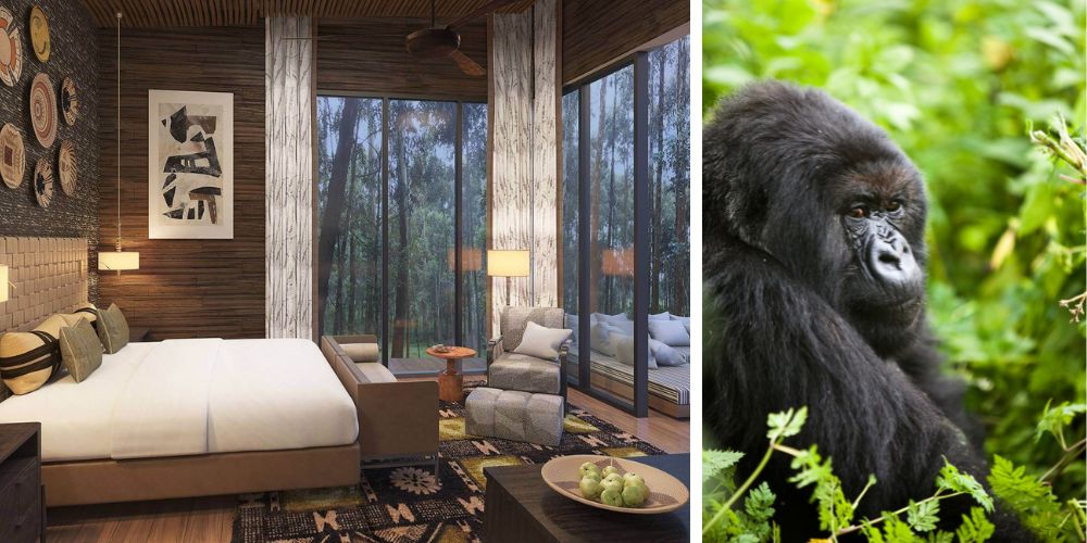 Gorilla tracking Rwanda - Overnight at One & Only